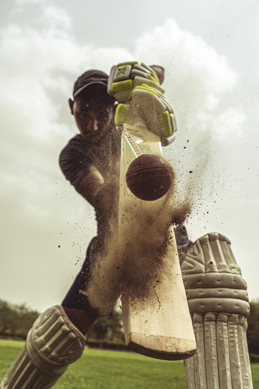 https://mplusa.nygoldco.com/wp-content/uploads/2025/07/cricket-5348883_1280.jpg